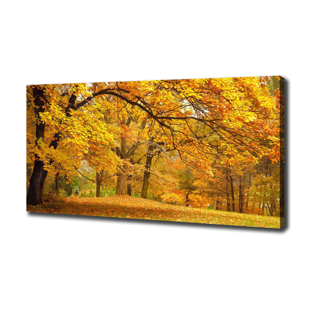 Canvas wall art Autumn in the park