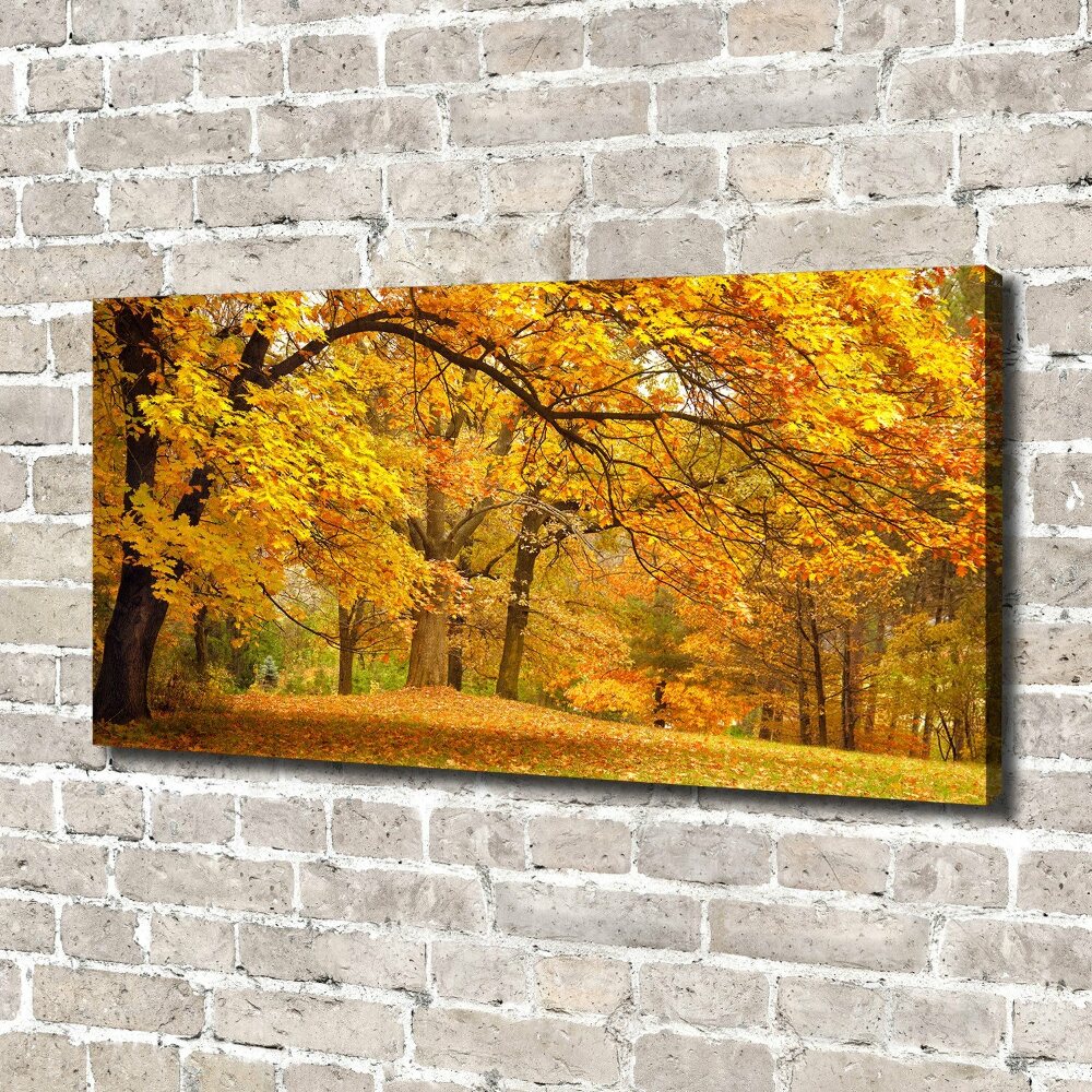 Canvas wall art Autumn in the park