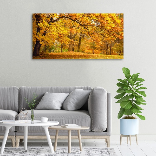 Canvas wall art Autumn in the park