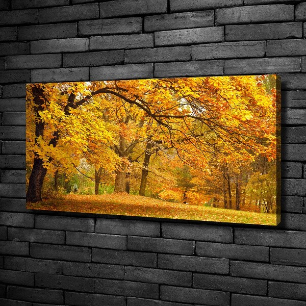 Canvas wall art Autumn in the park