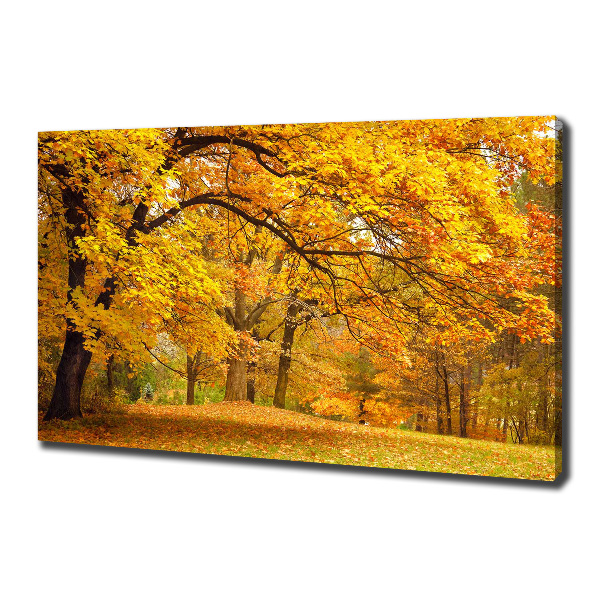 Canvas wall art Autumn in the park