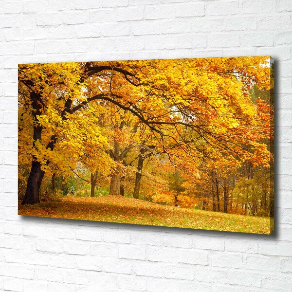 Canvas wall art Autumn in the park