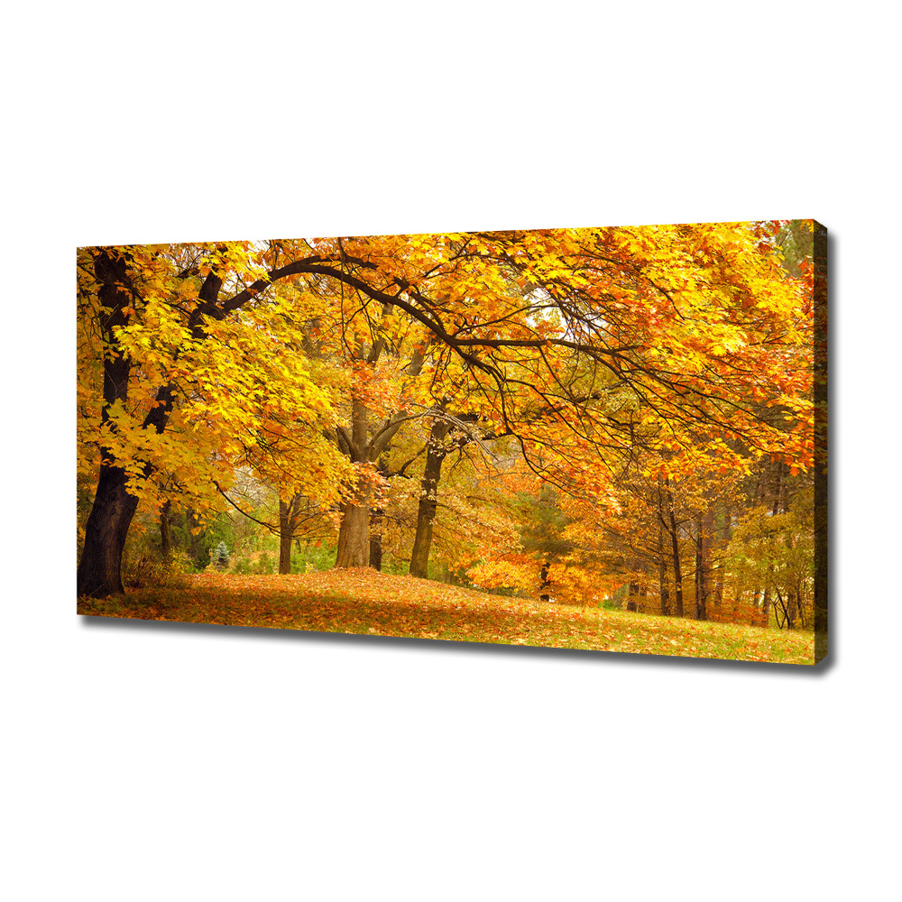 Canvas wall art Autumn in the park