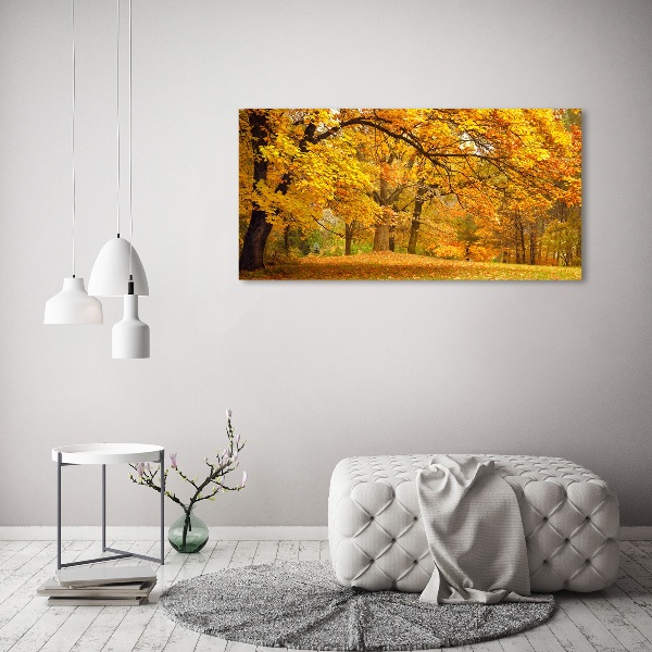 Canvas wall art Autumn in the park