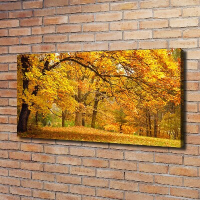 Canvas wall art Autumn in the park