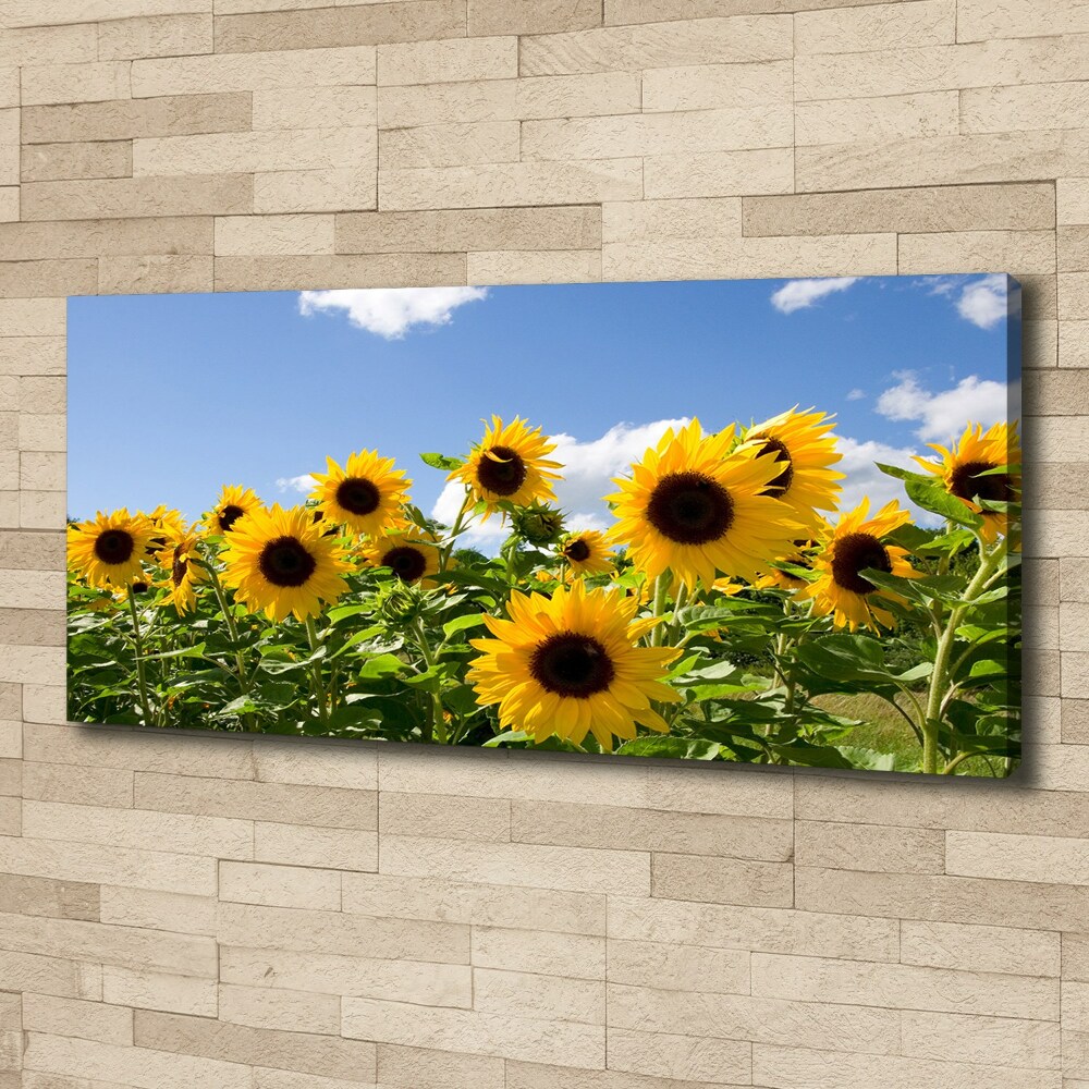 Canvas wall art Sunflowers