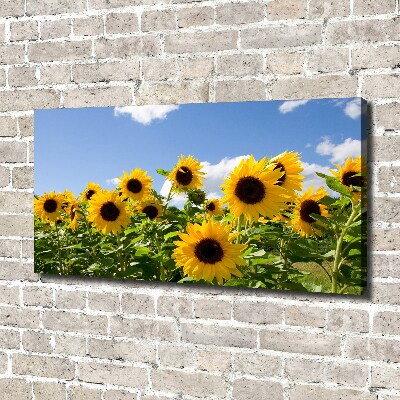 Canvas wall art Sunflowers