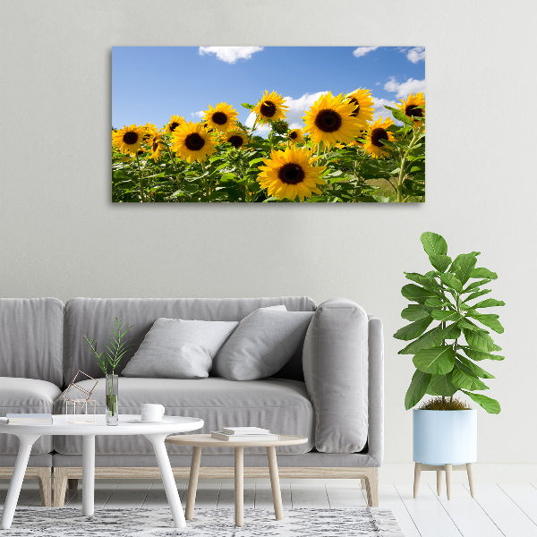 Canvas wall art Sunflowers