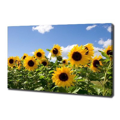 Canvas wall art Sunflowers