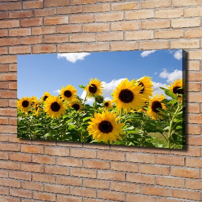 Canvas wall art Sunflowers