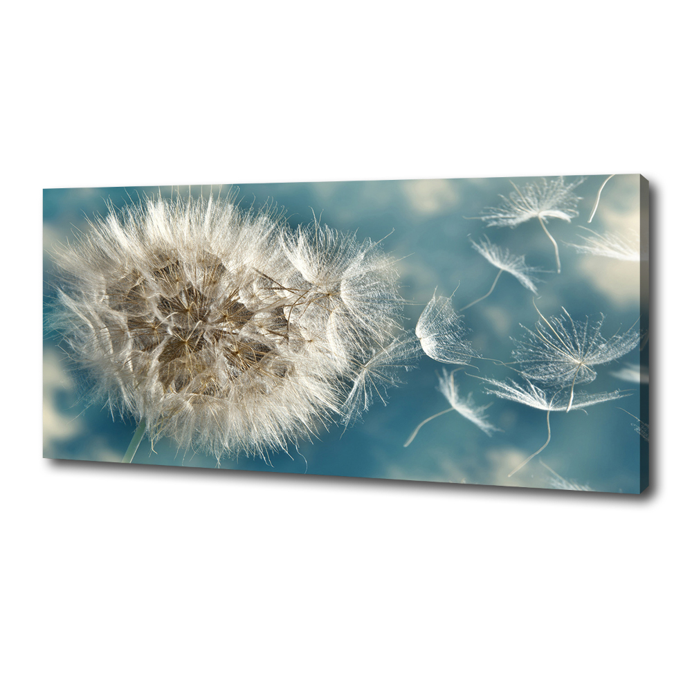 Canvas wall art dandelions