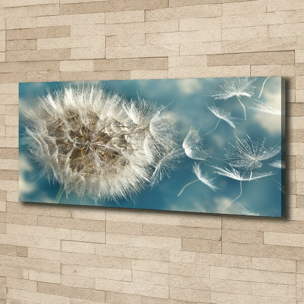 Canvas wall art dandelions