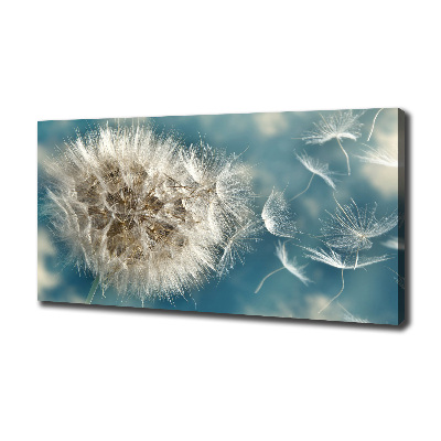 Canvas wall art dandelions