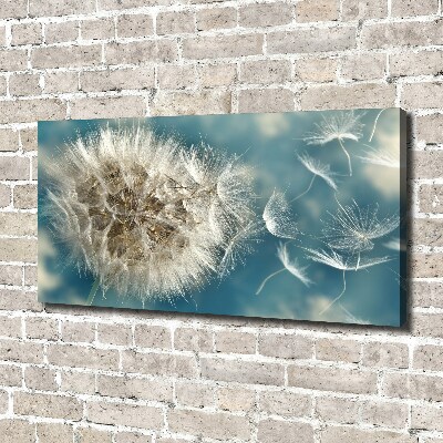 Canvas wall art dandelions