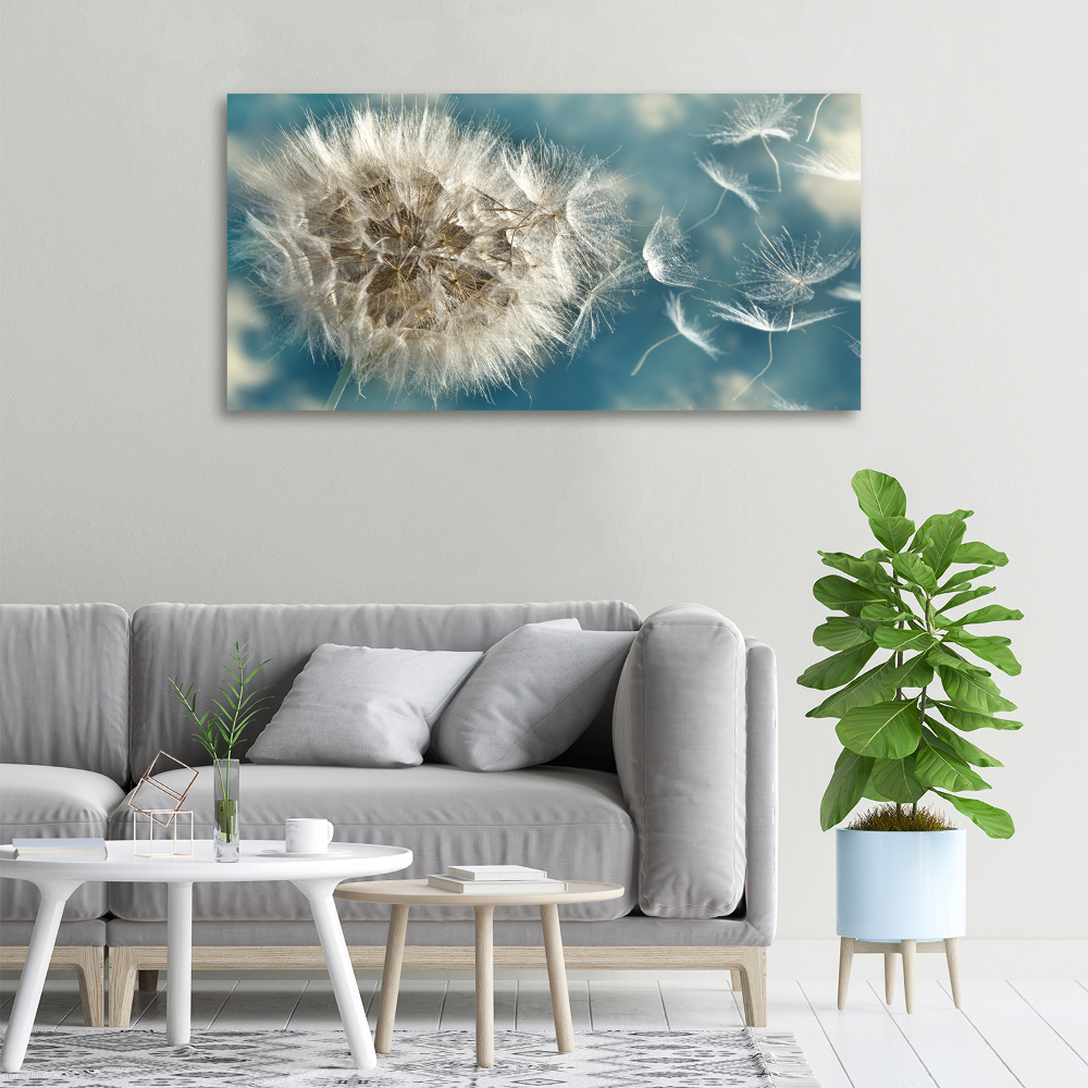 Canvas wall art dandelions