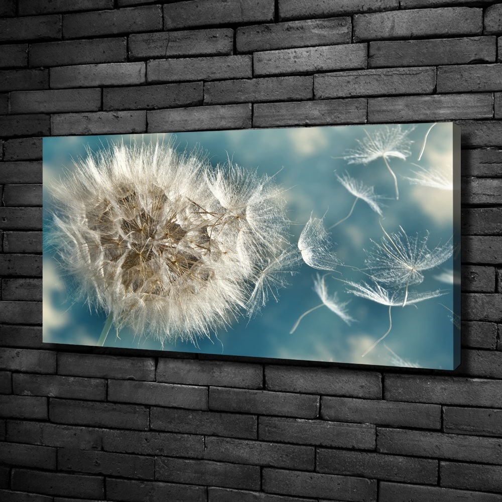 Canvas wall art dandelions