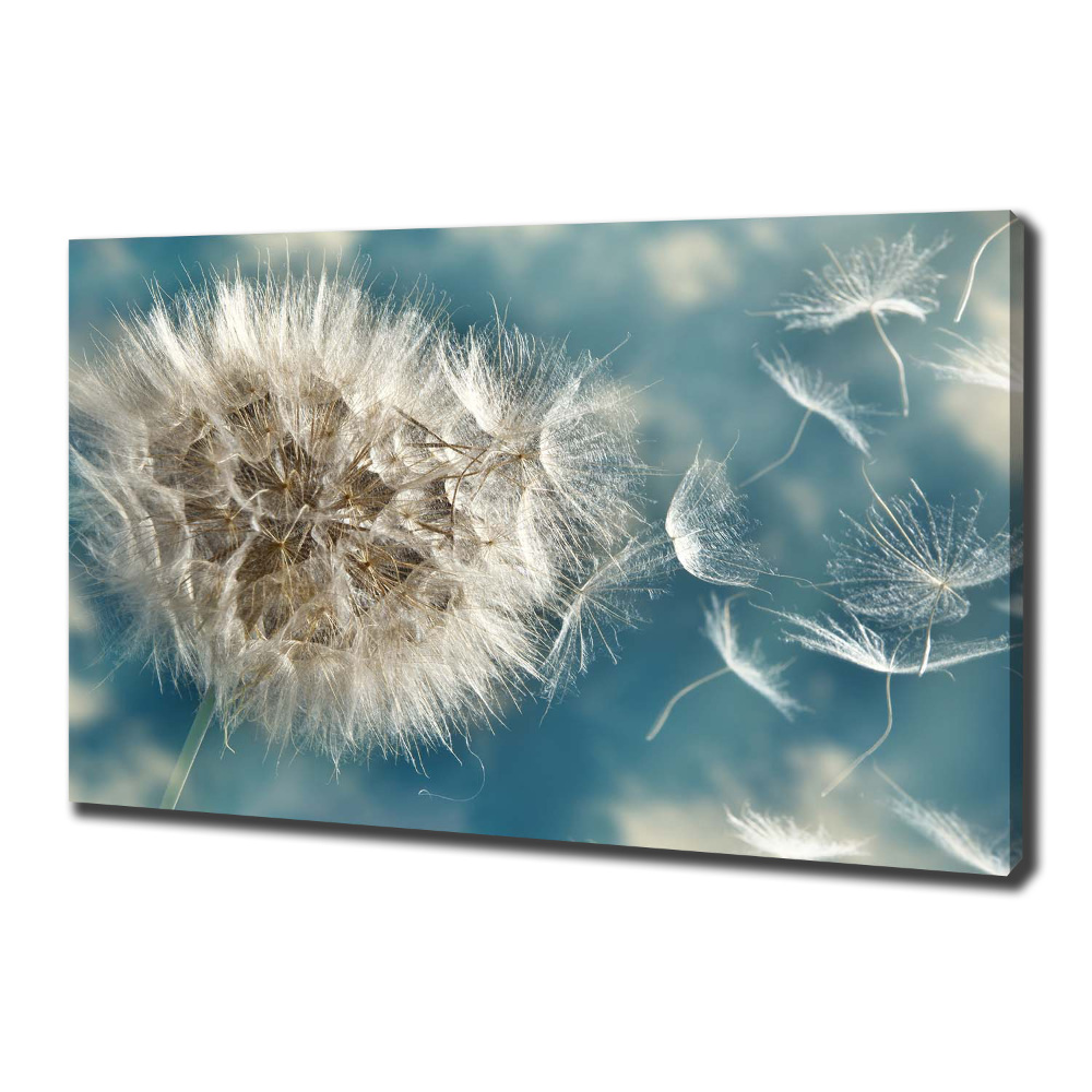 Canvas wall art dandelions