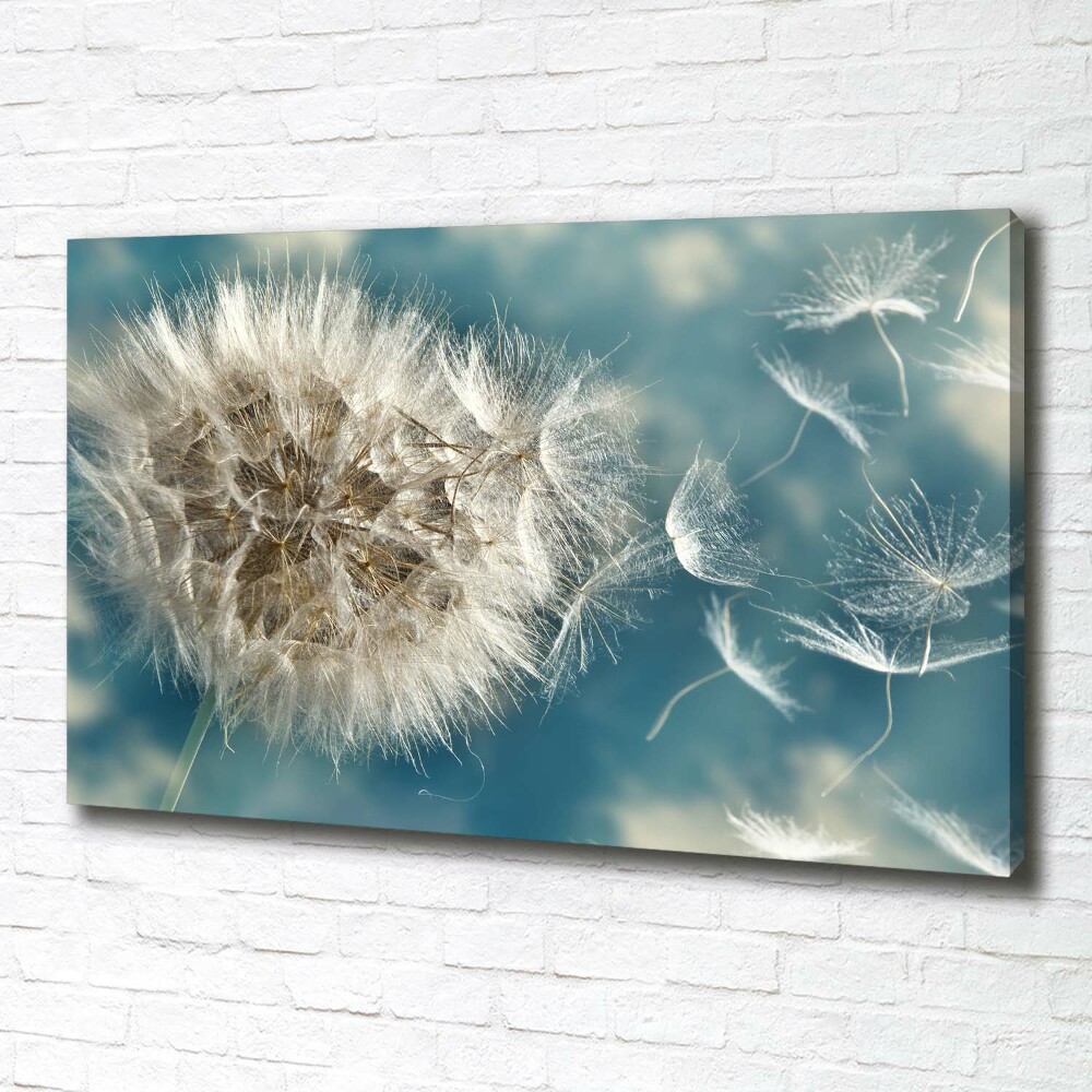 Canvas wall art dandelions