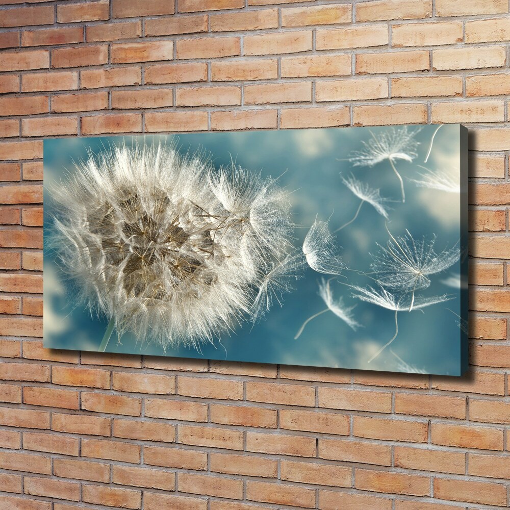 Canvas wall art dandelions