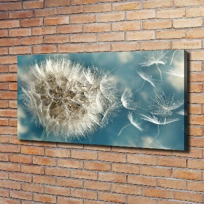 Canvas wall art dandelions