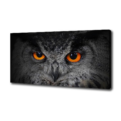 Canvas print Owl devilish eyes