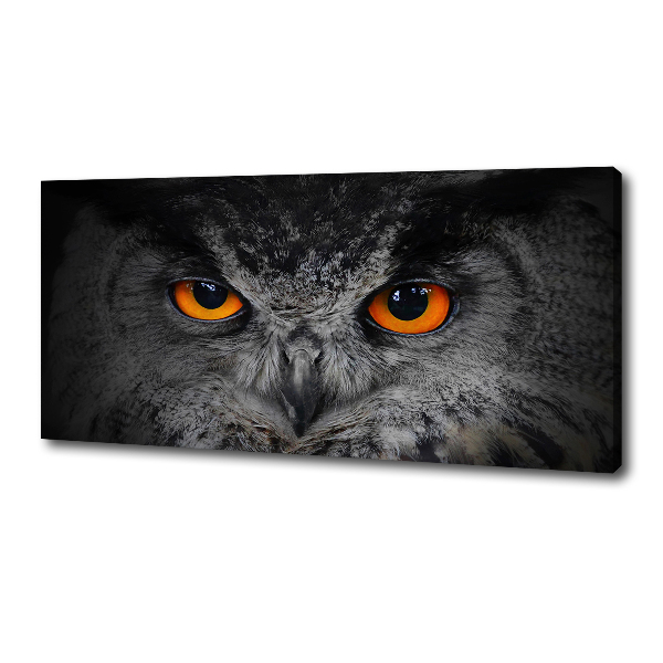 Canvas print Owl devilish eyes