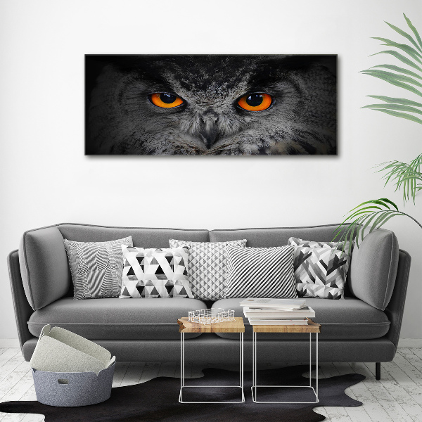 Canvas print Owl devilish eyes