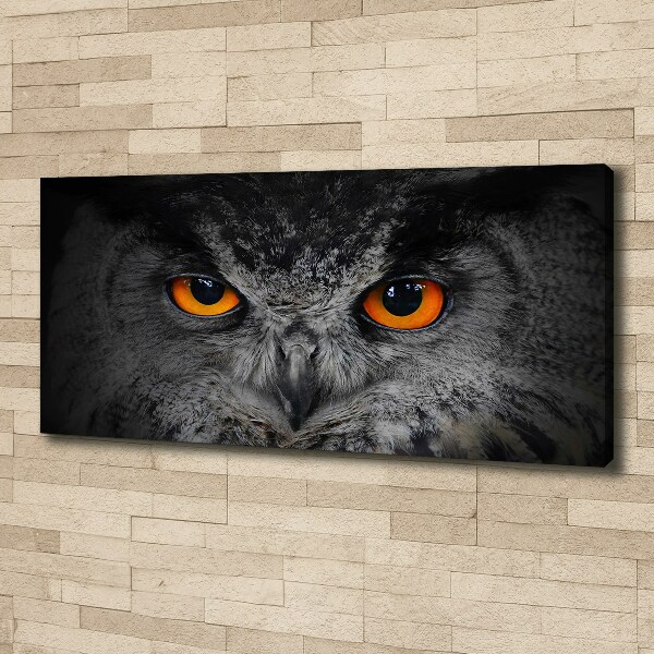 Canvas print Owl devilish eyes