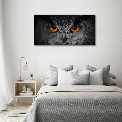 Canvas print Owl devilish eyes