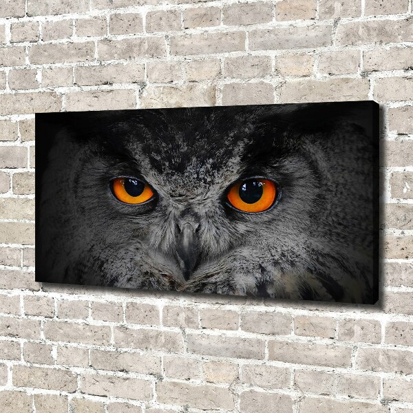 Canvas print Owl devilish eyes