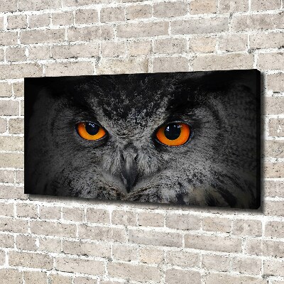 Canvas print Owl devilish eyes