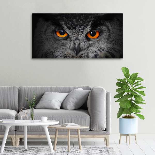 Canvas print Owl devilish eyes