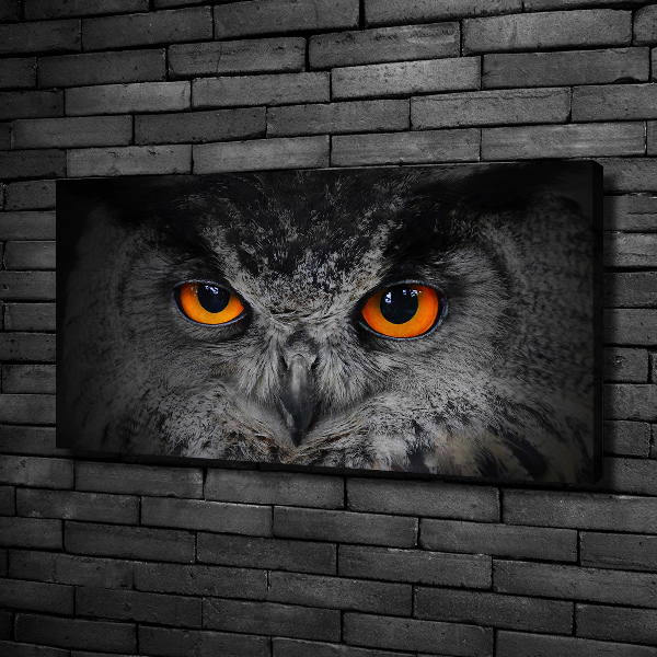 Canvas print Owl devilish eyes