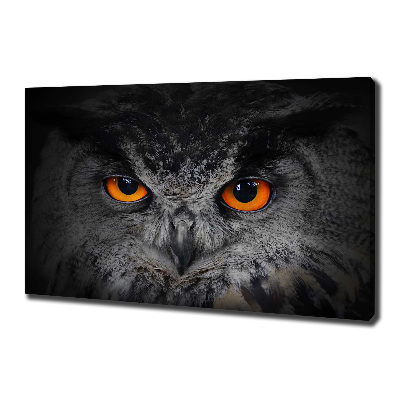 Canvas print Owl devilish eyes