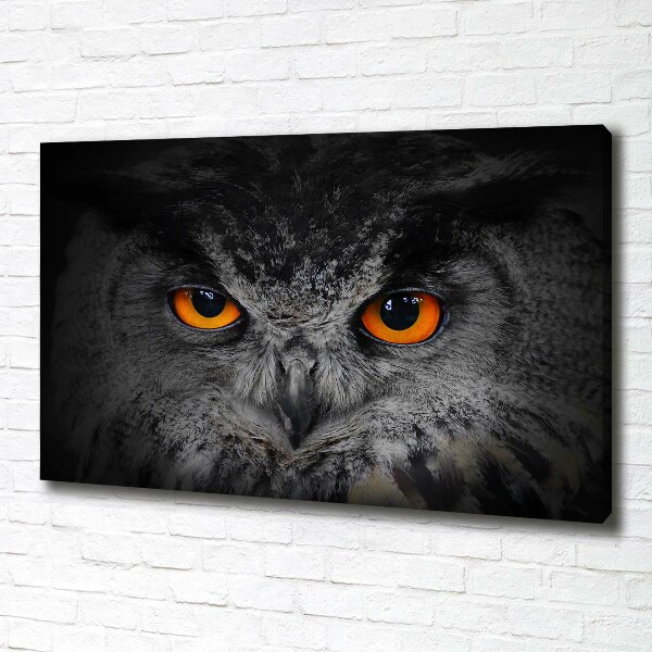 Canvas print Owl devilish eyes