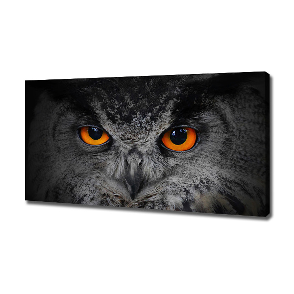 Canvas print Owl devilish eyes