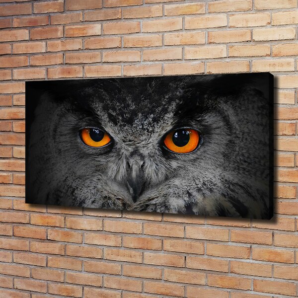 Canvas print Owl devilish eyes