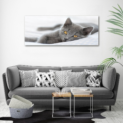 Wall art canvas large Gray cat