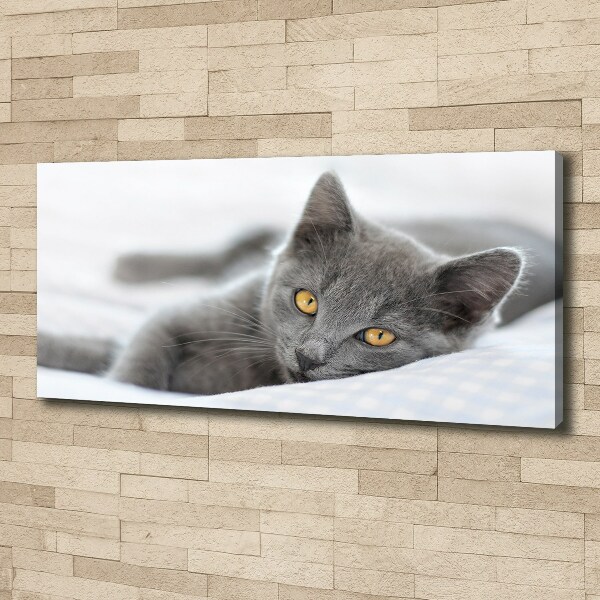 Wall art canvas large Gray cat