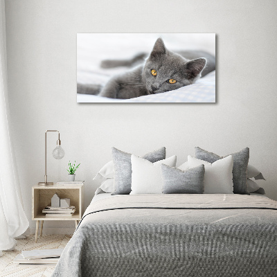 Wall art canvas large Gray cat