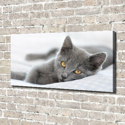 Wall art canvas large Gray cat