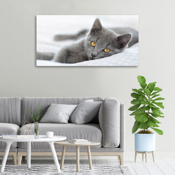 Wall art canvas large Gray cat