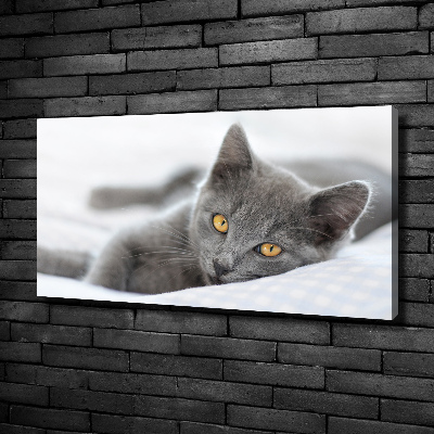 Wall art canvas large Gray cat