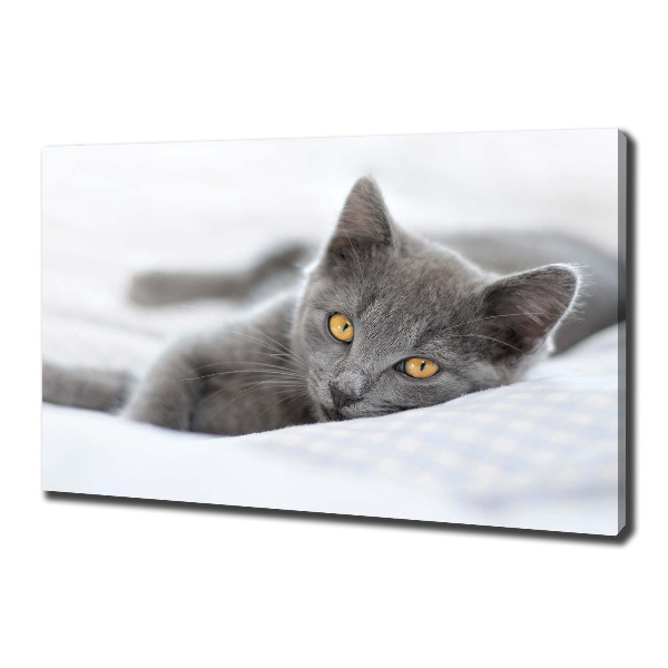 Wall art canvas large Gray cat