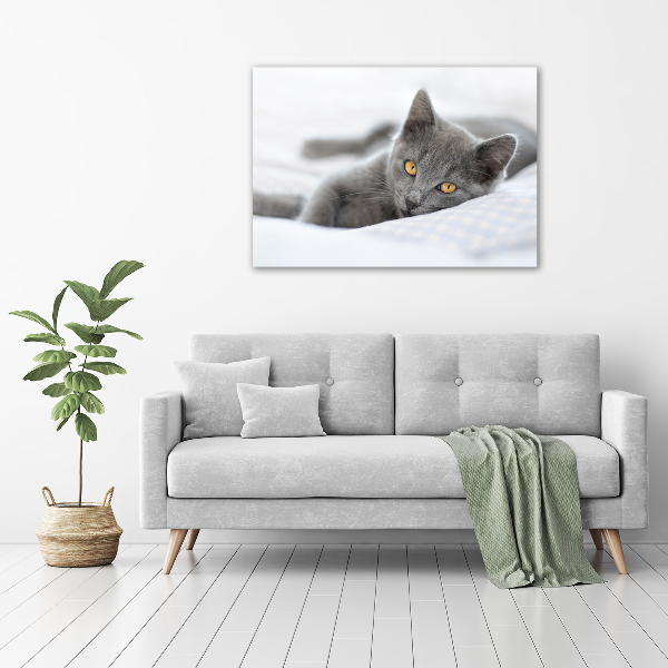 Wall art canvas large Gray cat