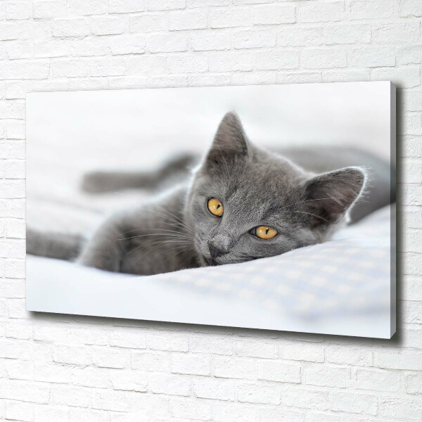 Wall art canvas large Gray cat