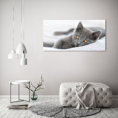 Wall art canvas large Gray cat