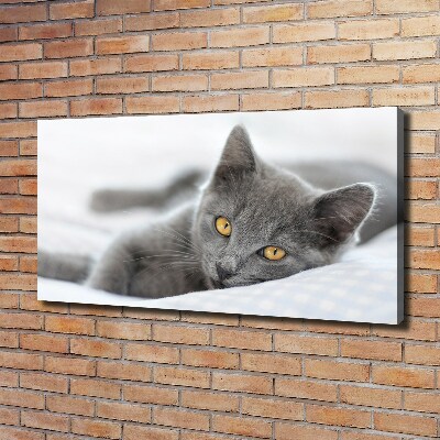 Wall art canvas large Gray cat