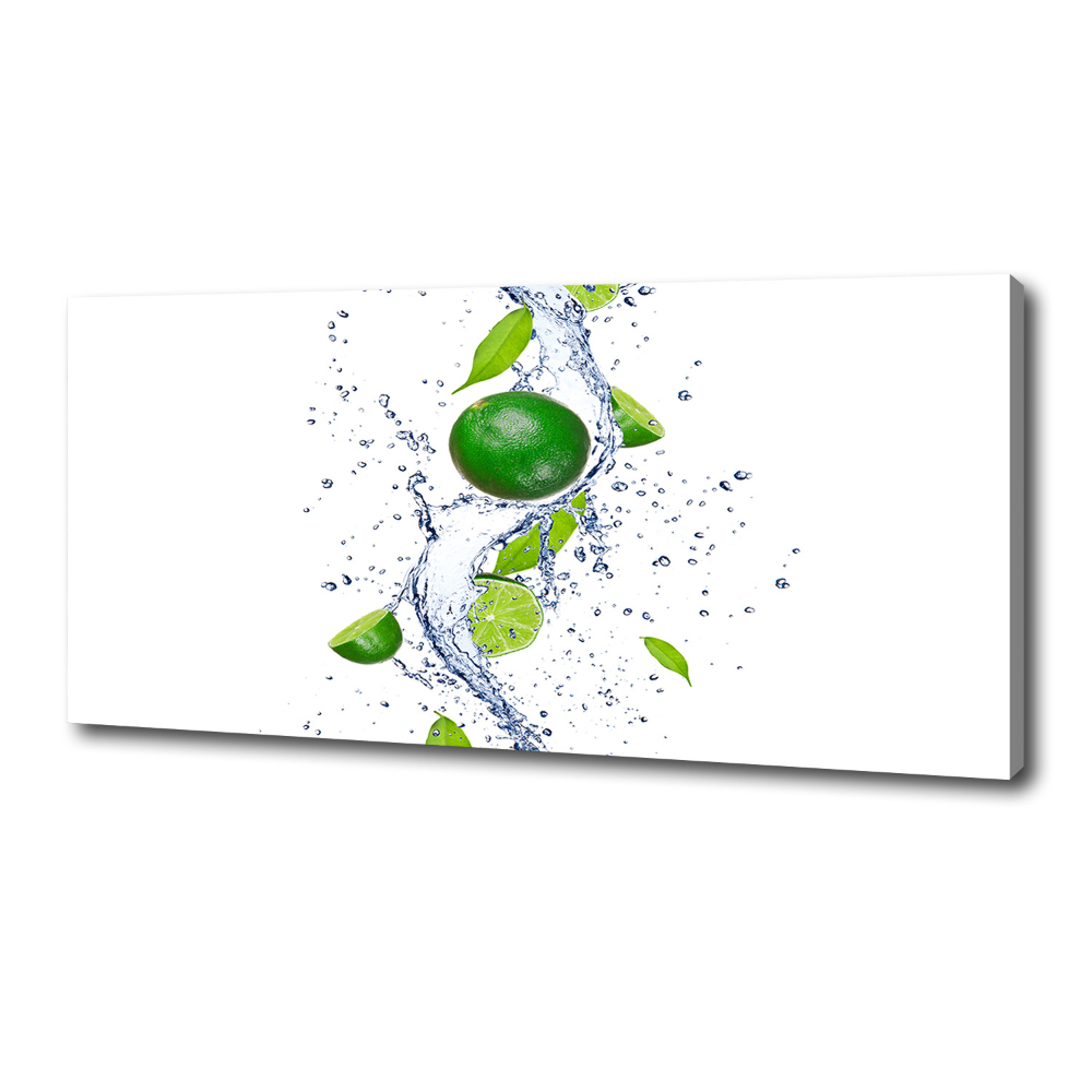 Canvas wall art Lime and water