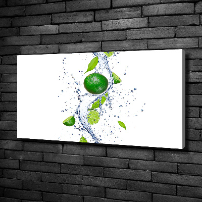 Canvas wall art Lime and water